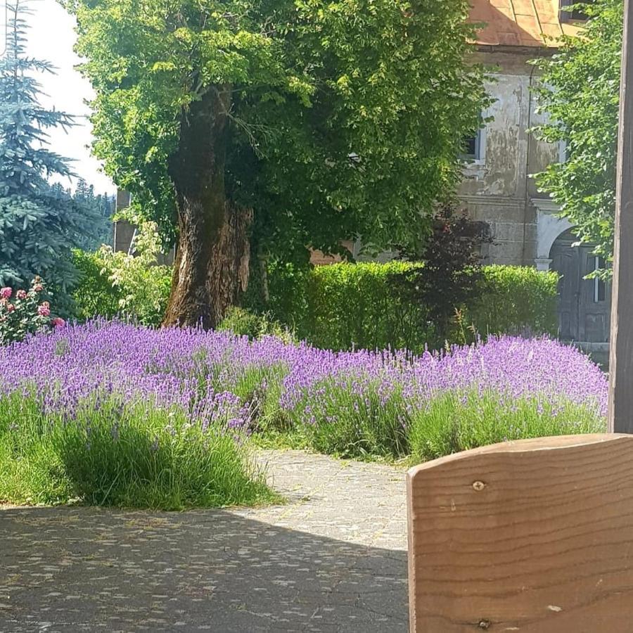 Hotel Fuzinarska Kuca Fužine Exteriér fotografie
